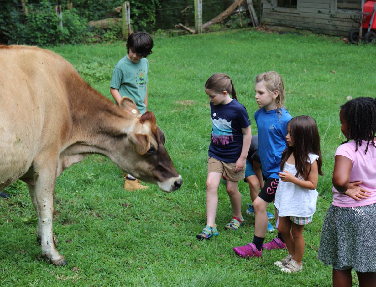 Alice Ferguson Foundation tweet media