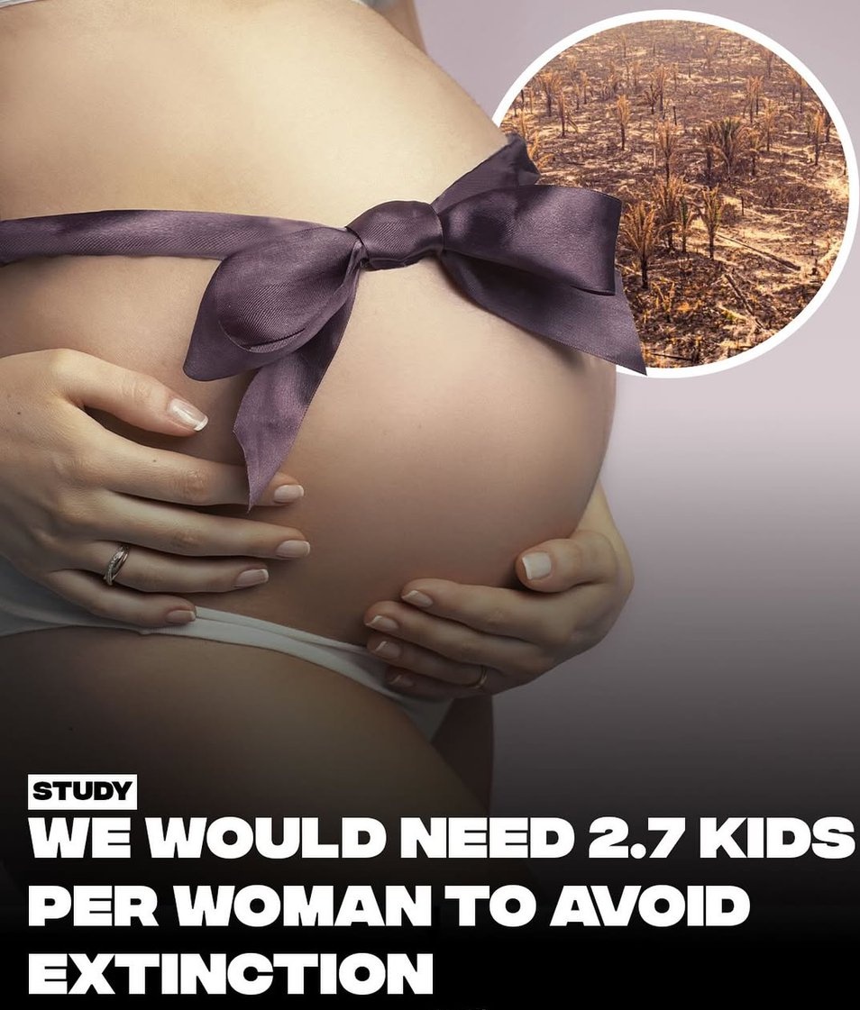 worldranking_'s tweet image. 