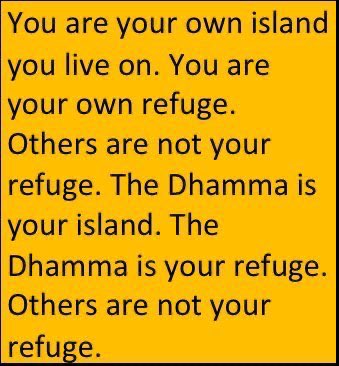 DhammapadaCom's tweet image. Follow the Dhamma. It's your refuge. Use your intelligence. Follow yourself. You are your own refuge. You are enough, but you must exert effort. No one can do it for you.🙏