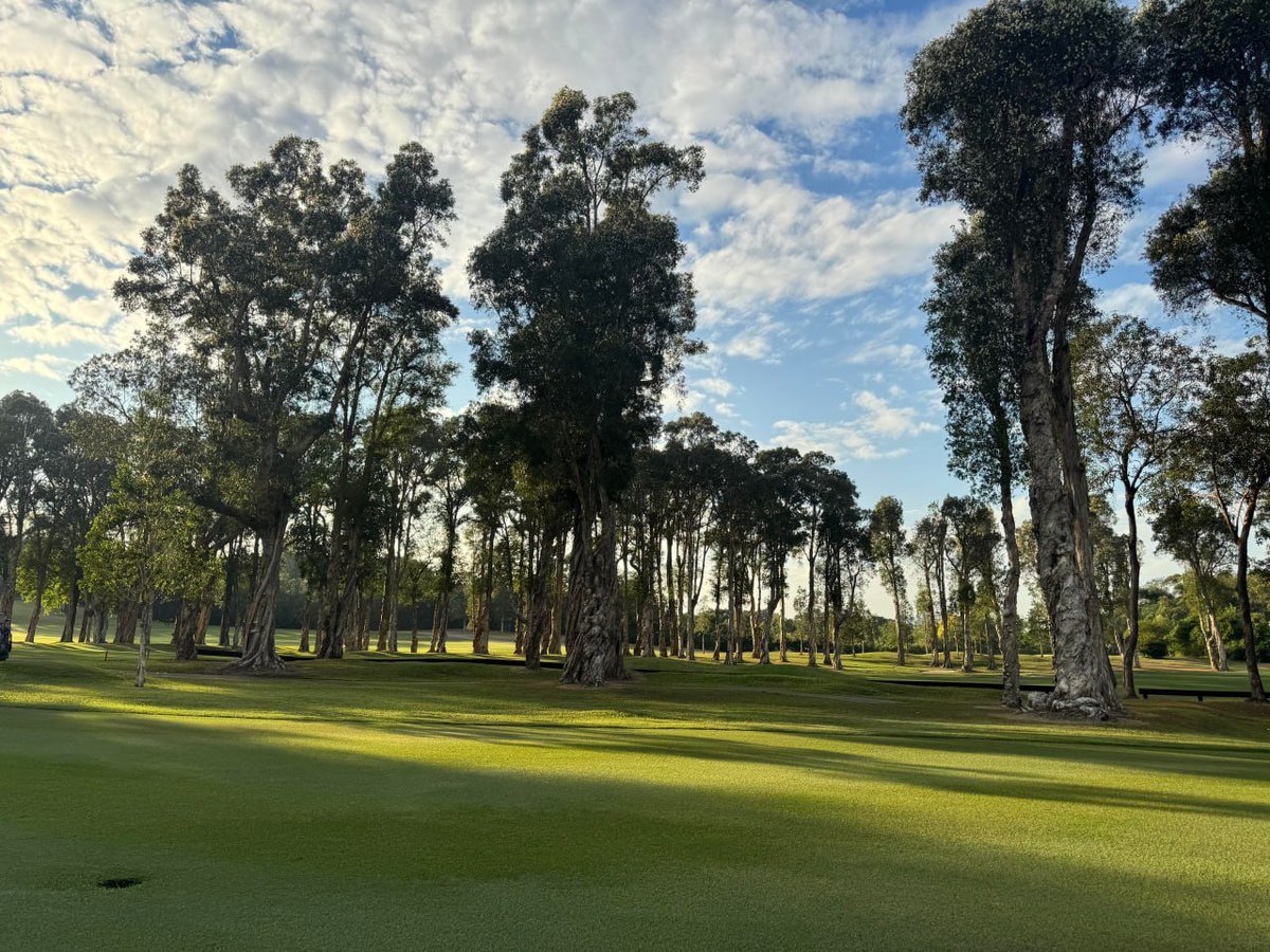 yeahiam's tweet image. Golf is just a long walk interrupted by great shots. #usalife #America #Golf