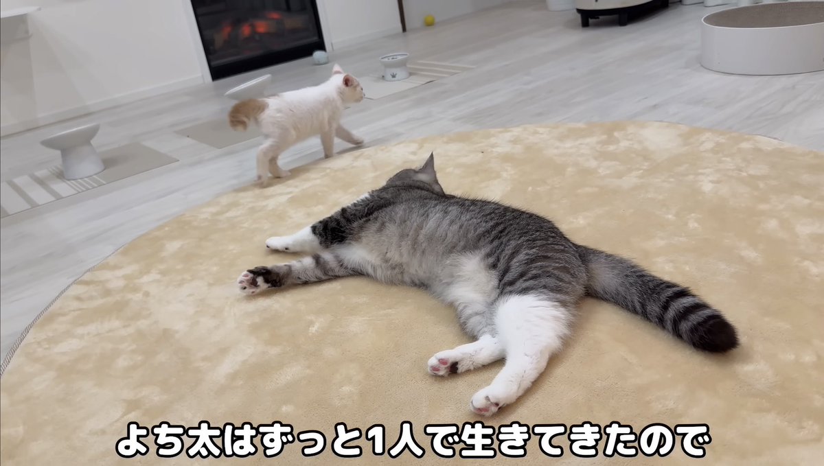 はなざくろ (@hana_zakulo) / Posts / X