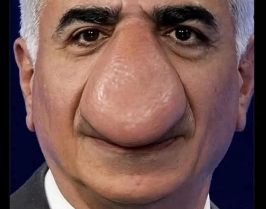 TuffailB's tweet photo. His big nose will change the IRANIAN regime 😂😂😂😂
#Iran 
#IranProtests 
#IranInternetShutdown 
#America 
#IsraelTerroristState 
#jammuandkashmir 
#x https://t.co/86Lf3Bauwc