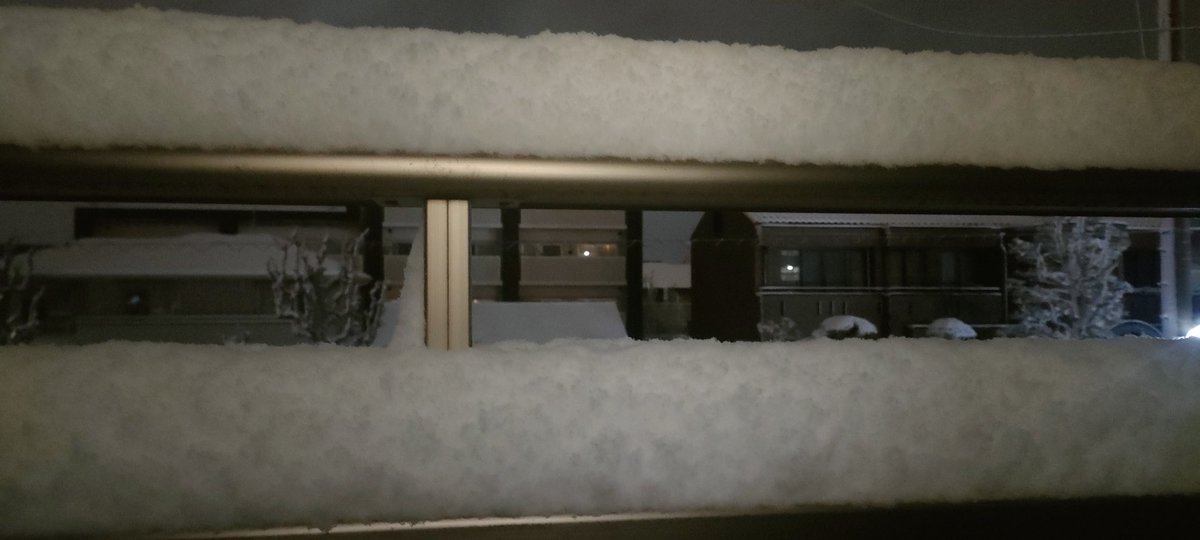 おいおいウチでさえ10センチぐれー積もってるやんけ…

皆様お気をつけてくだせぇ、特に新成人の方々はいろいろあると思いますが…
とりあえず火曜日までに溶けてねマジで。。。