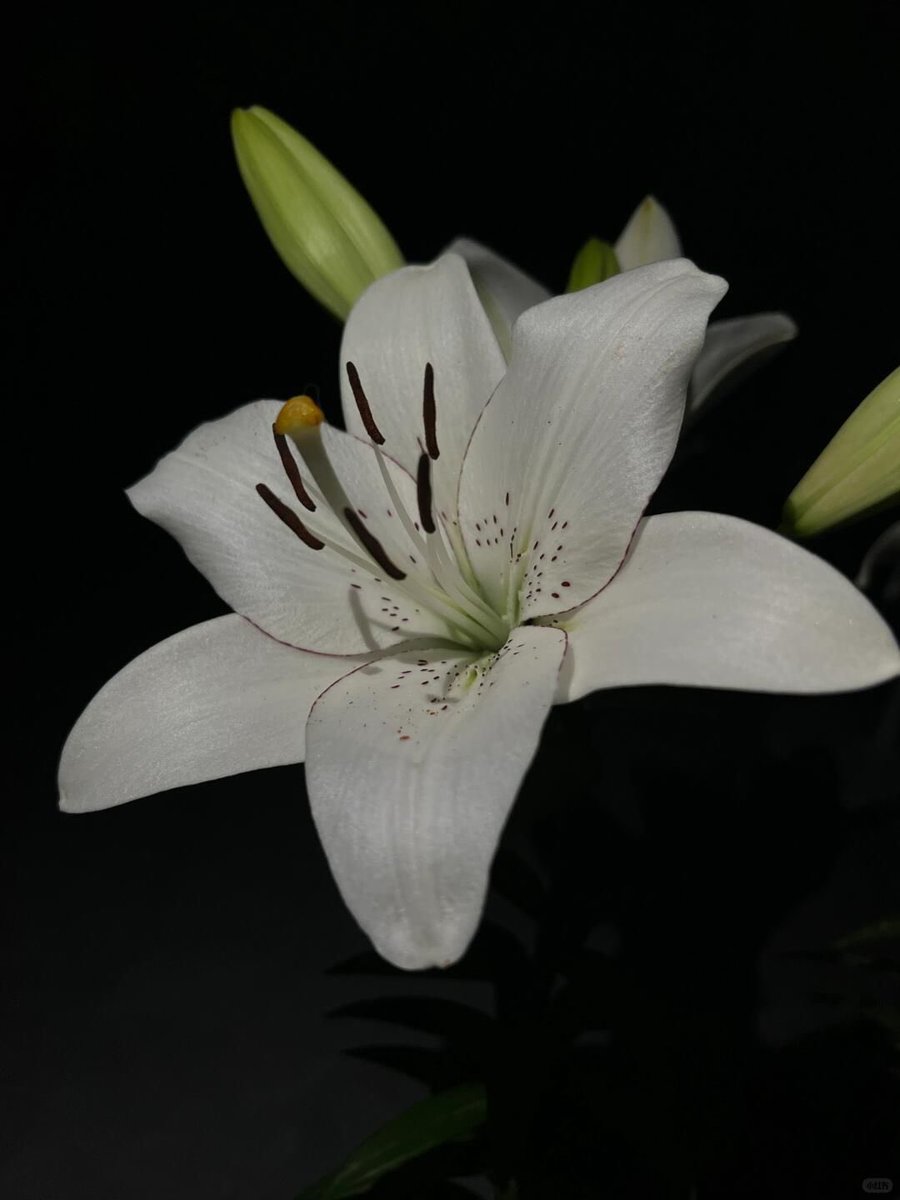 inreuo's tweet image. 