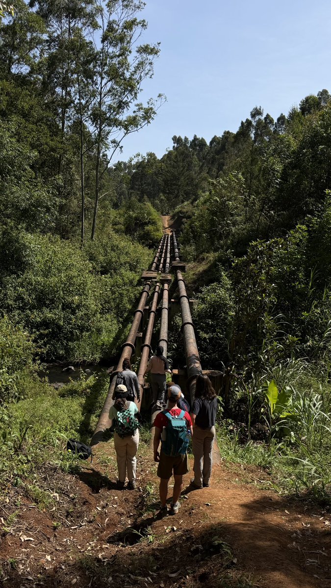 Alex Kamau tweet media