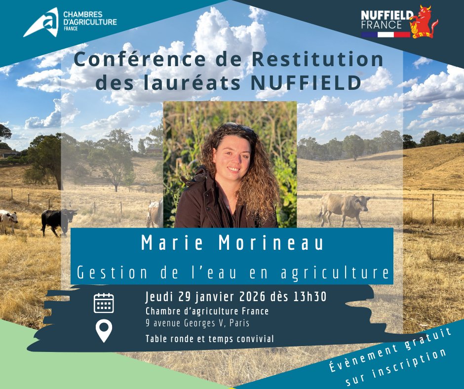 Nuffield France tweet media