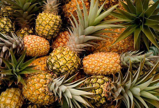 Floresta do Araguaia mantém liderança e Pará domina a produção de abacaxi no Norte, diz IBGE
Levantamento do IBGE confirma que Floresta do Araguaia segue como o maior produtor de abacaxi da Região Norte em 2024. O município alcançou uma produção estimada em 210 milhões de frutos,