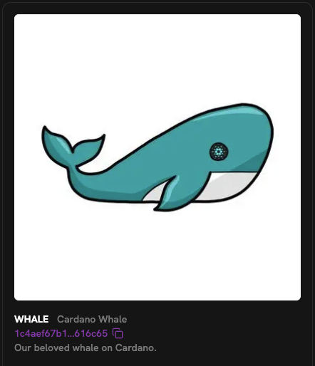 UTxOMaestro tweet media