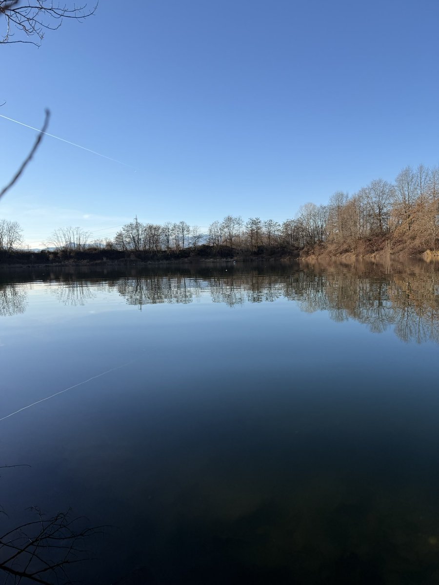 KrokoCake tweet media