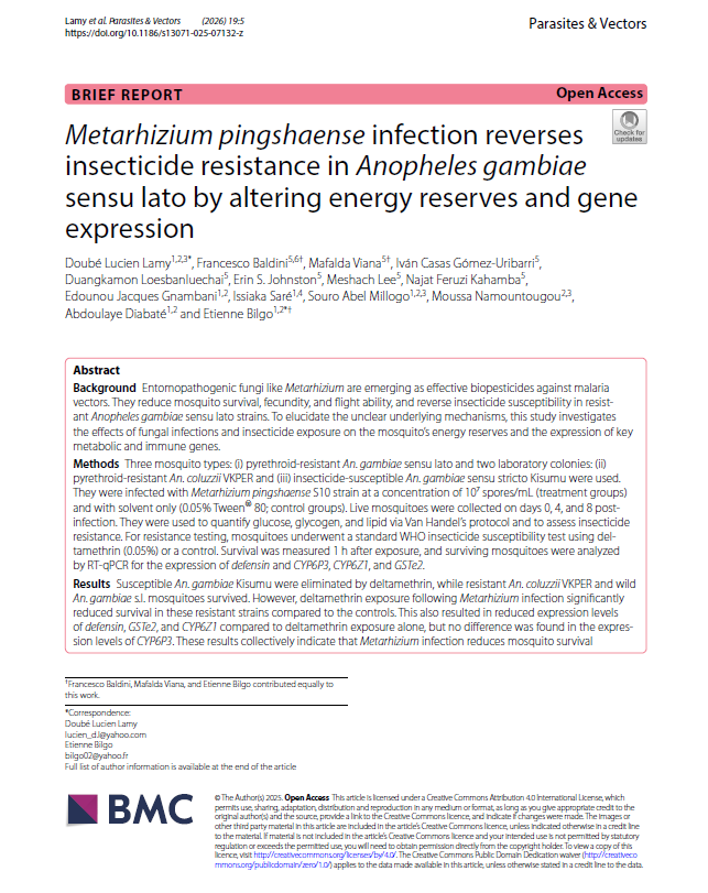 LAMY Doube Lucien tweet media