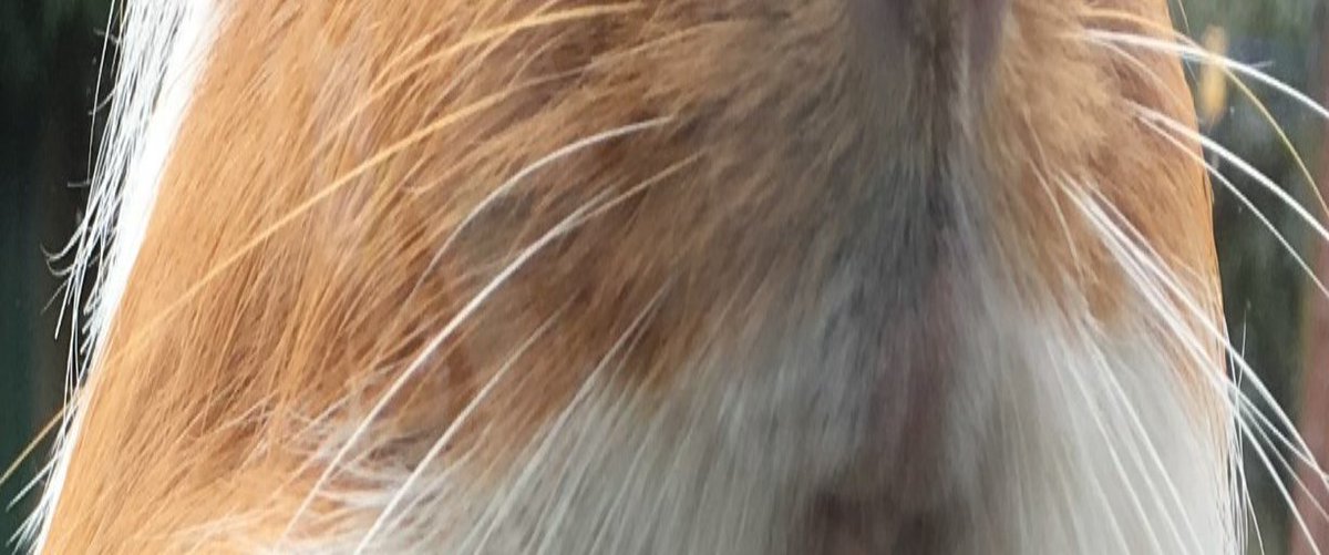 arhn.eu 🕹 tweet media