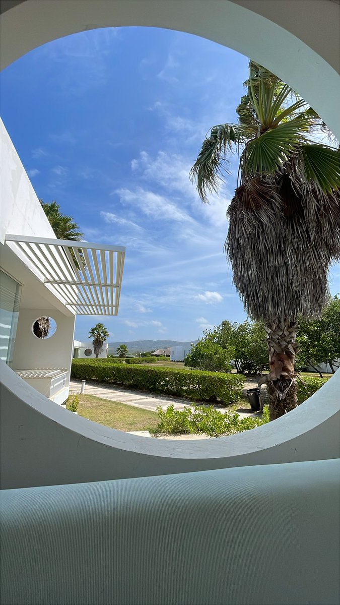 Susana De León tweet media