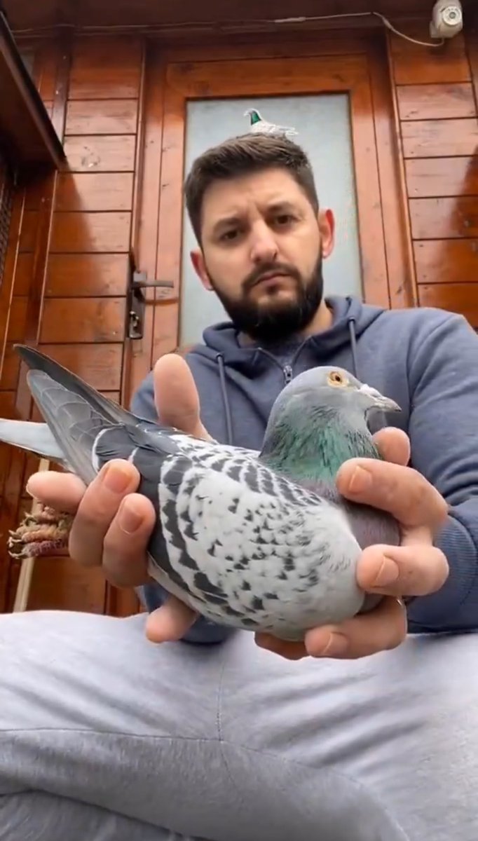 zımba kürt tweet media