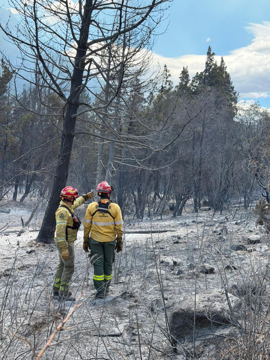 🚒 Bomberos cordobeses combaten el fuego en la provincia de Chubut. 

Desde las 6:30 del domingo, la delegación de Córdoba trabaja intensamente en la #ComarcaAndina, epicentro de la zona más afectada por los #IncendiosForestales que azotan a este sector de la Patagonia argentina