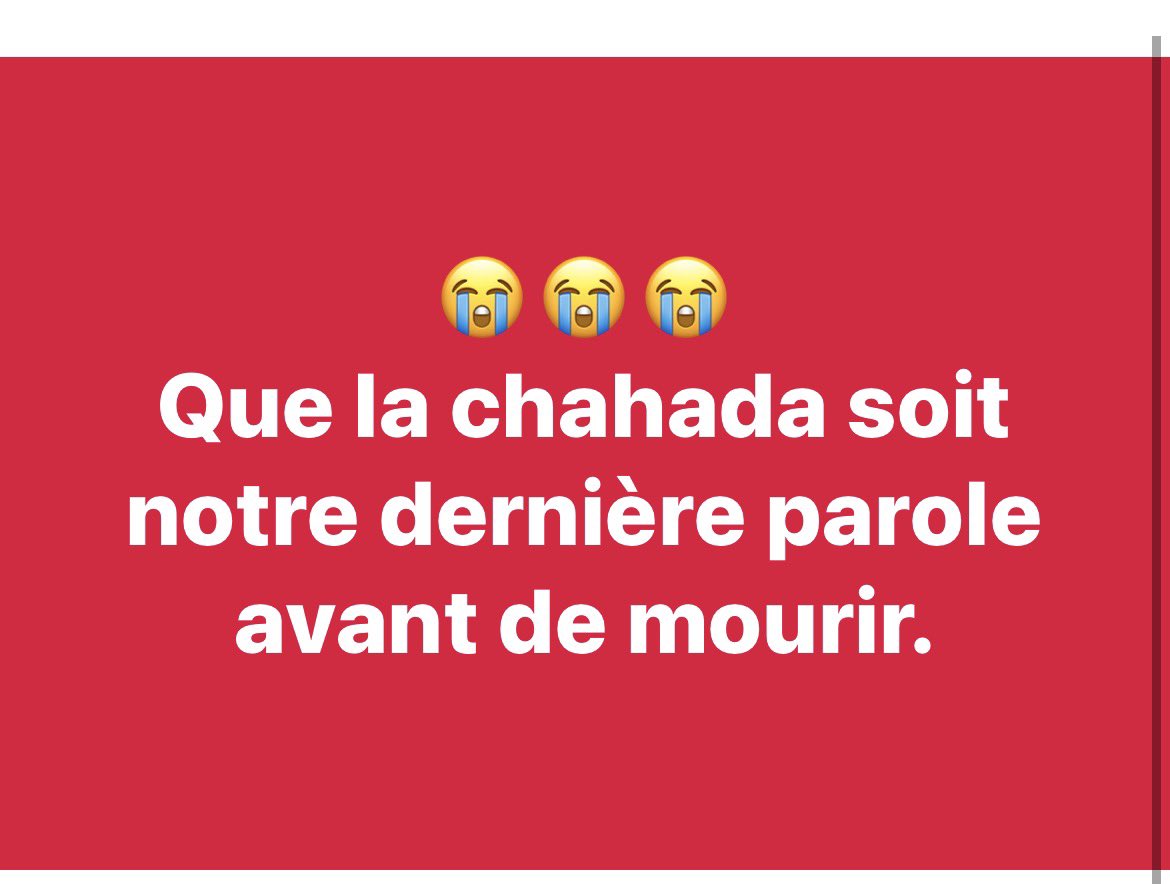 mondemuslims's tweet image. 