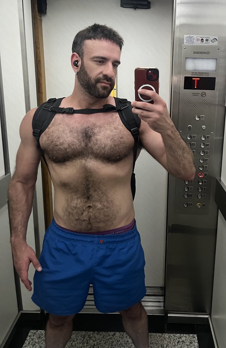 Bruno 🐇 tweet media