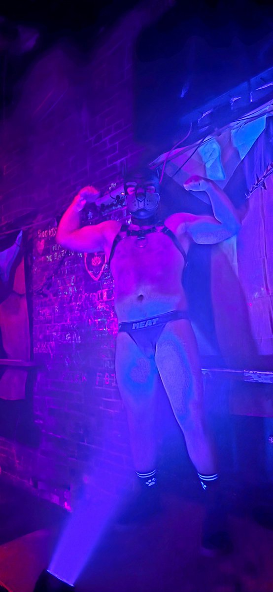 Pup Ajax tweet media