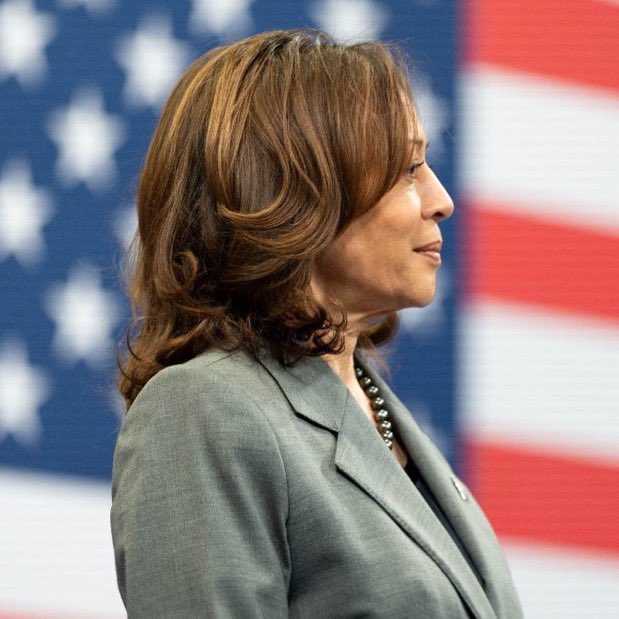 ML3democrats's tweet image. “I TOLD YOU SO” MUST BE HER NEXT CAMPAIGN SLOGAN