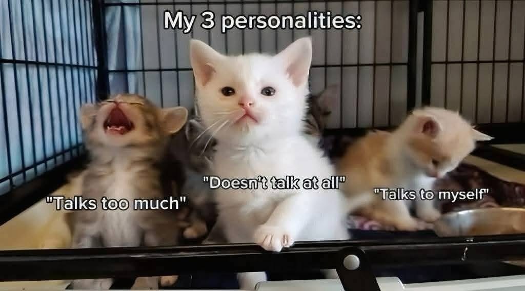 Catsillyness's tweet image. 