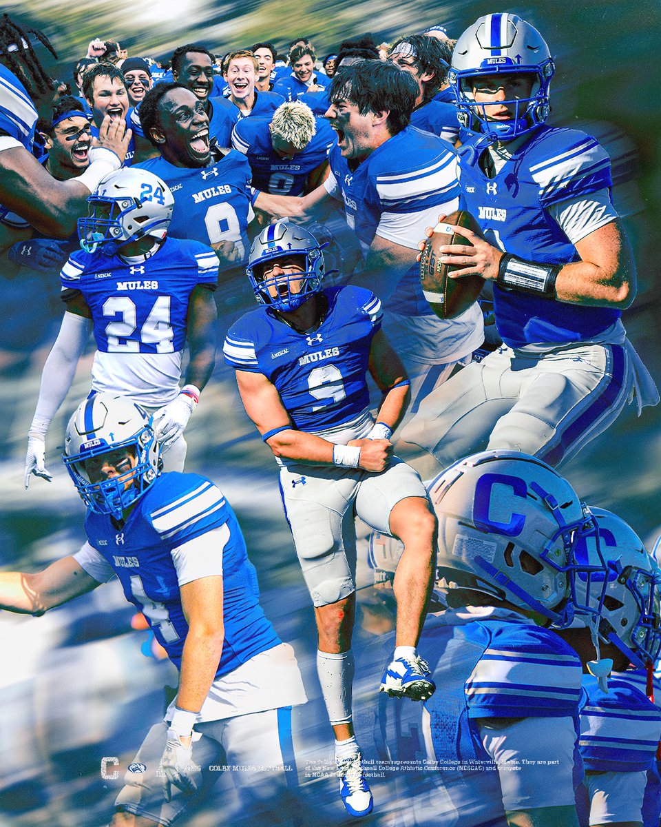 Sawyer Busny tweet media