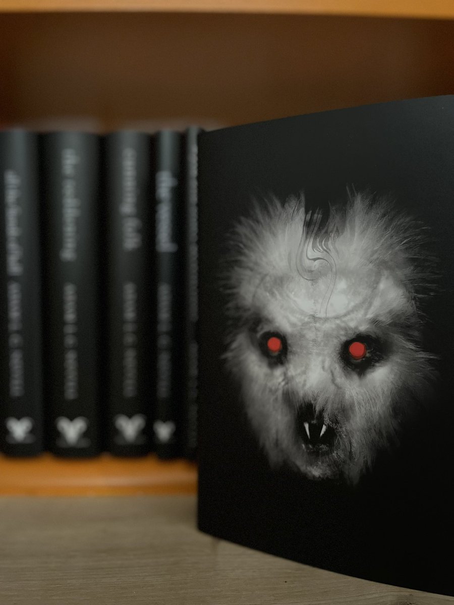 Matt 👻 tweet media