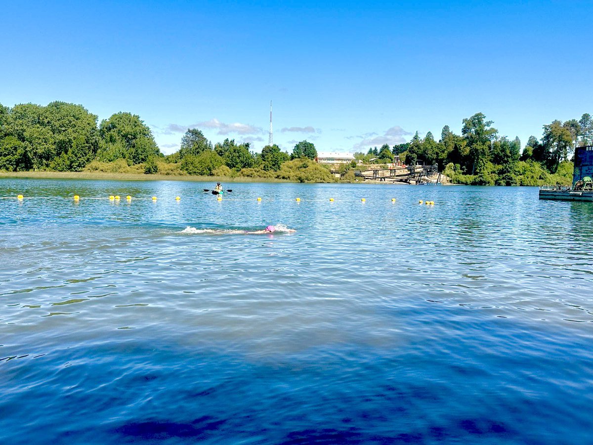 Salí a entrenar temprano… 750 mts preparando el torneo aguas abiertas de Licanray 2026🥰😎
