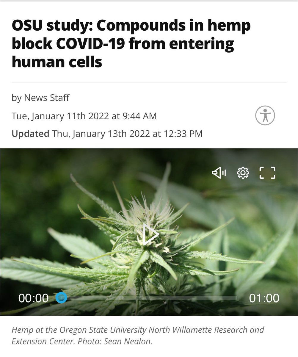 Compounds found in hemp "show the ability to prevent the virus that causes COVID-19 from entering human cells," Oregon State University says.

ktvl.com/newsletter-dai…