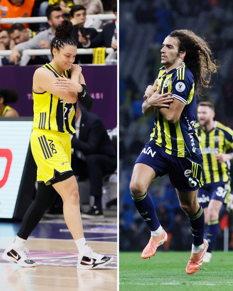 fbkadinbasket's tweet image. 24 saatten kısa süre içinde benzer işler, aynı sonuç. 😿

#PotanınKraliçeleri