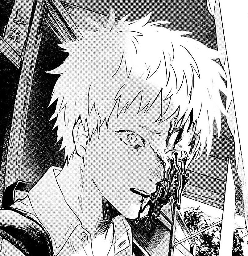 mev ✨🐹 tweet media