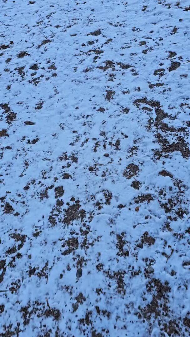 Hiddensee Forum tweet media