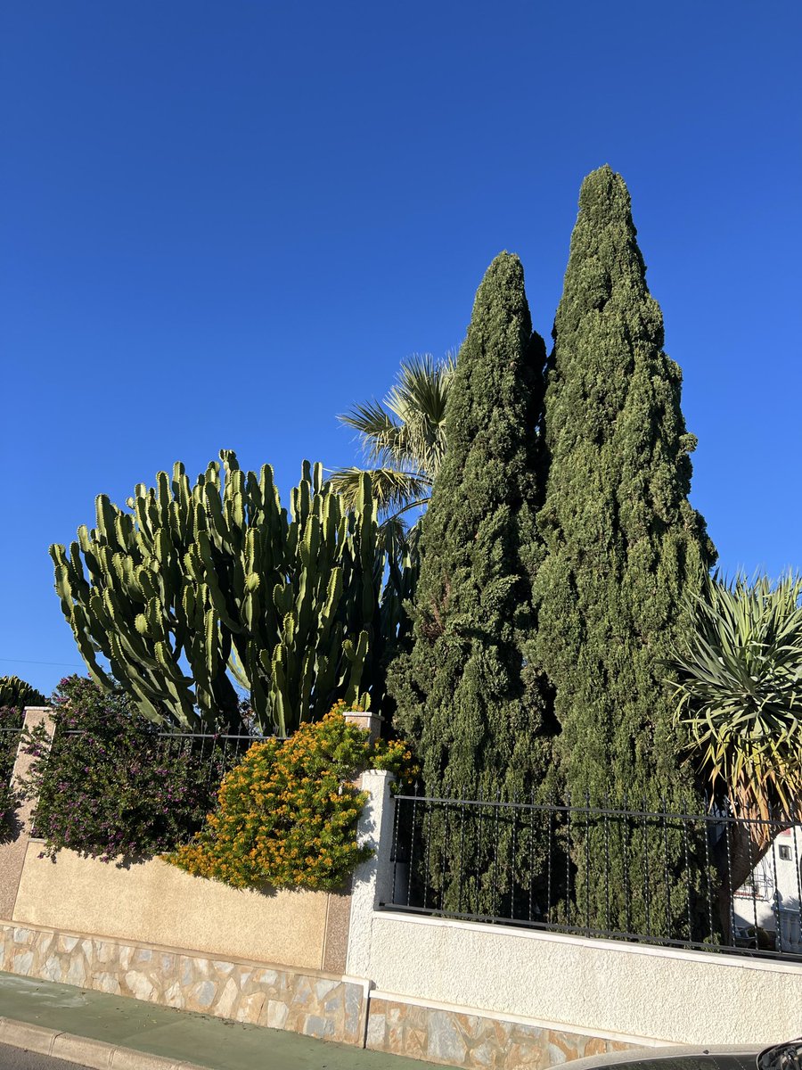 Sygma (Fire, Security & Electrical) Ltd tweet media