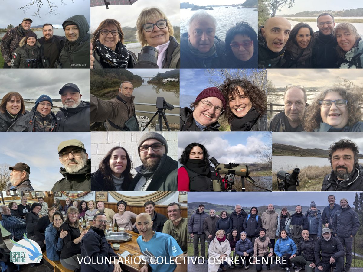 10 EJEMPLARES DE ÁGUILA PESCADORA ELIGEN CANTABRIA PARA PASAR EL INVIERNO
36 voluntarios del Colectivo Osprey Centre han realizado el seguimiento de las águilas pescadoras invernantes en los humedales de Cantabria
mas info: bahiasantander.es/2026/01/10/10-…