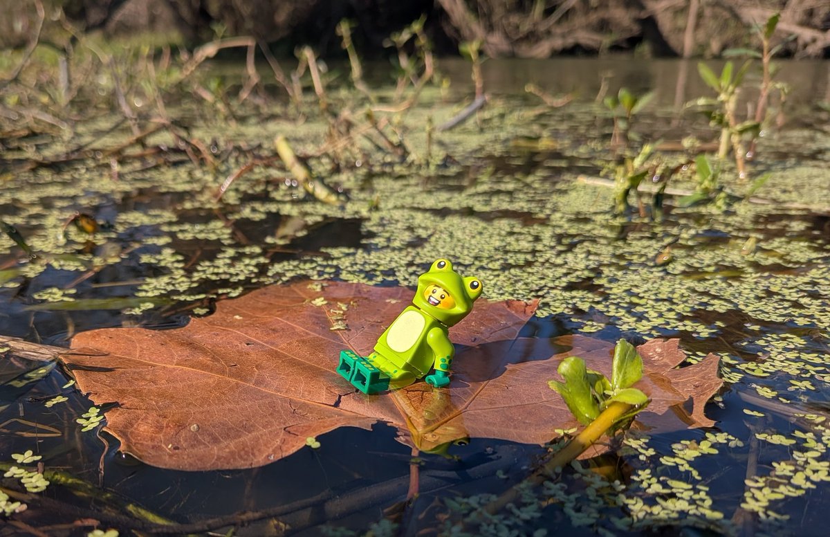 Doctor Bionicle tweet media