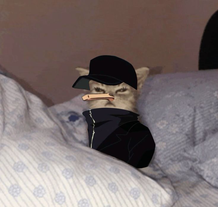 ㅇㄴ뭐야? 나 이런짤처음봐
이와중에 눈 자세히보면 속눈썹 쫀득하게 올라가잇어서개욱김