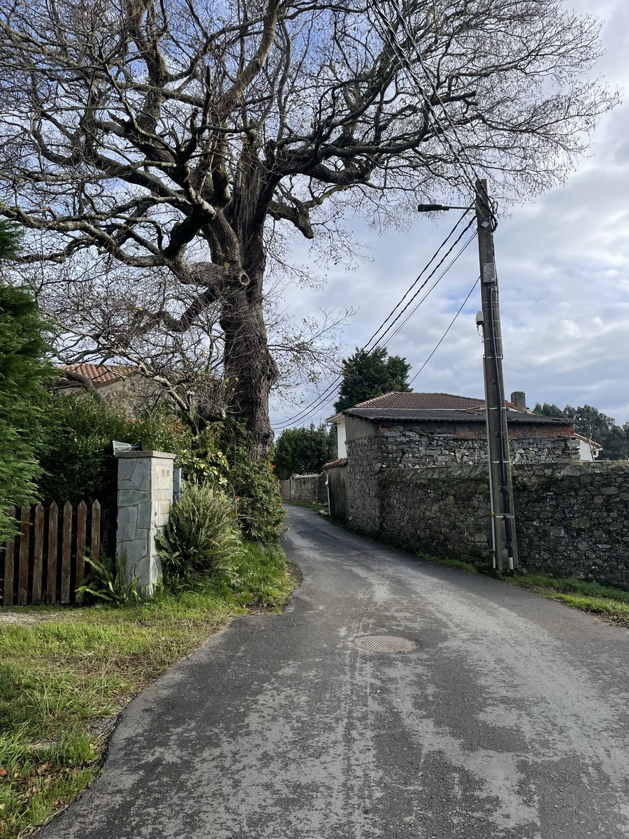 ๐จ๐๐
๐๐๐ ๐น๐๐๐๐ tweet media