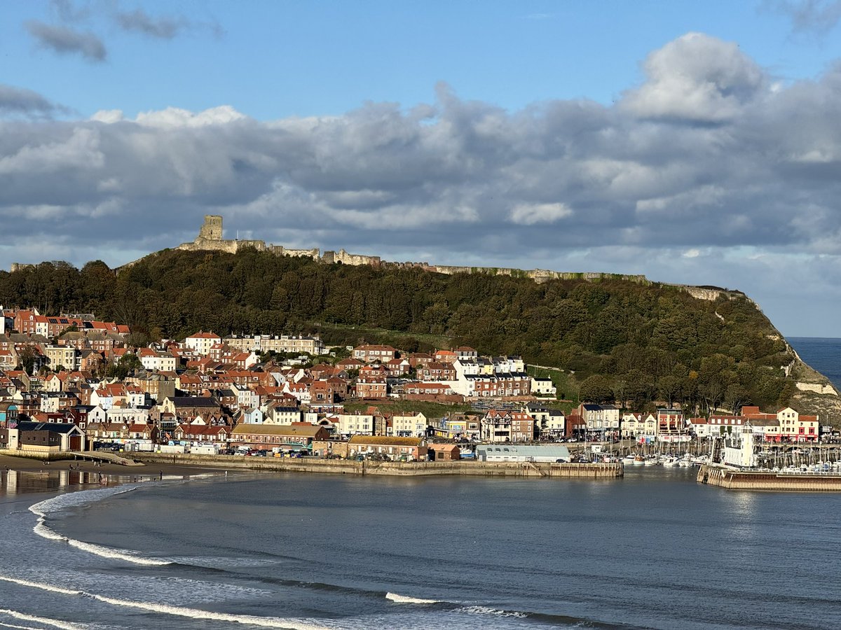 Carol Ward tweet media