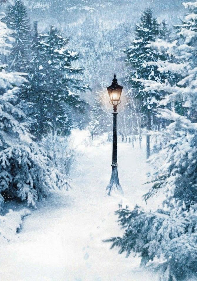 NarniaWeb tweet media