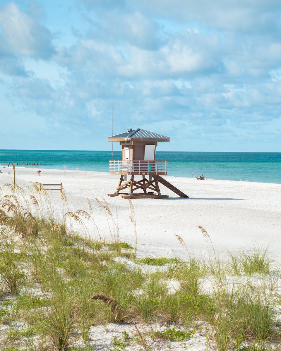 VisitBradenton's tweet photo. One of those beaches you always come back to. π΄
Drop a π if this is your vibe.
πCoquina Beach, Anna Maria Island
#AnnaMariaIsland #RealAuthenticFlorida #BradentonArea https://t.co/aX5jNkZpEE