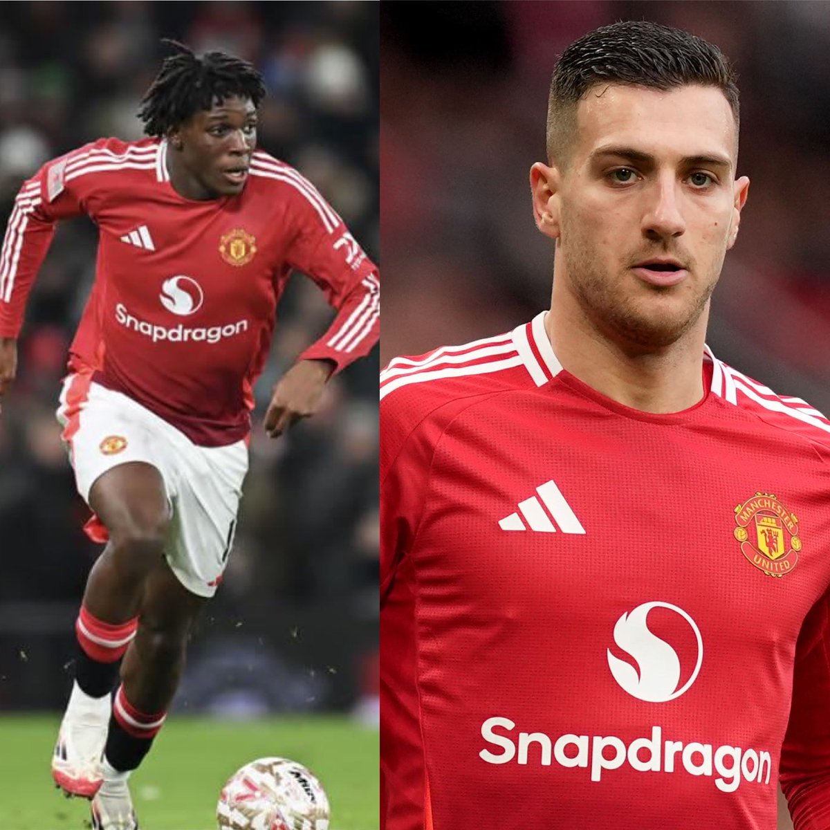 Mike Luul tweet media