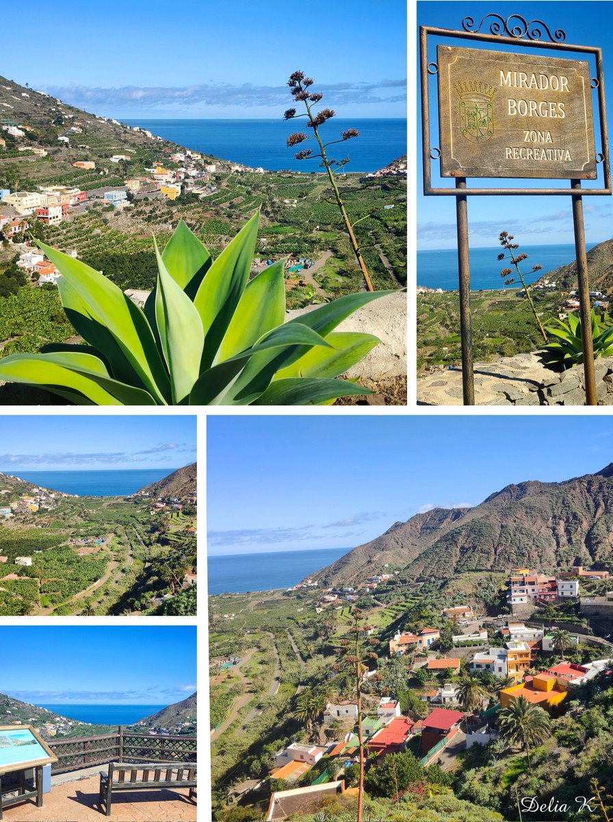 Desde el Mirador de Borges, una magnífica panorámica de Hermigua.
#MiradorDeBorges #Hermigua #Gomera #LaGomera #Canarias #IslasCanarias