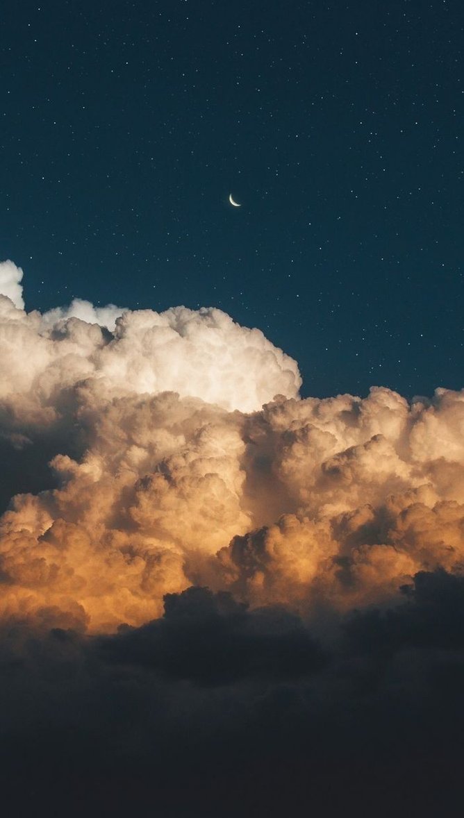 hellbock's tweet image. 近所のスーパーでタイムセールやってて半額の刺身ゲット
今夜は豪華な夕飯だ 👨‍🔧