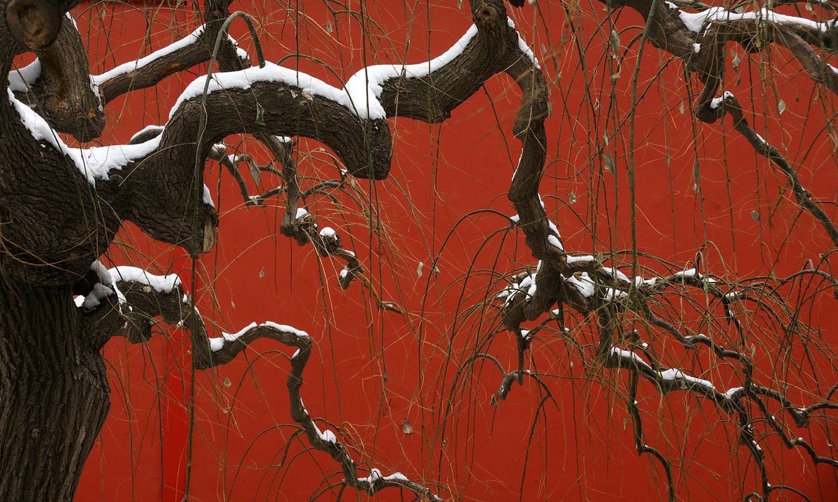 vei 🪭 tweet media