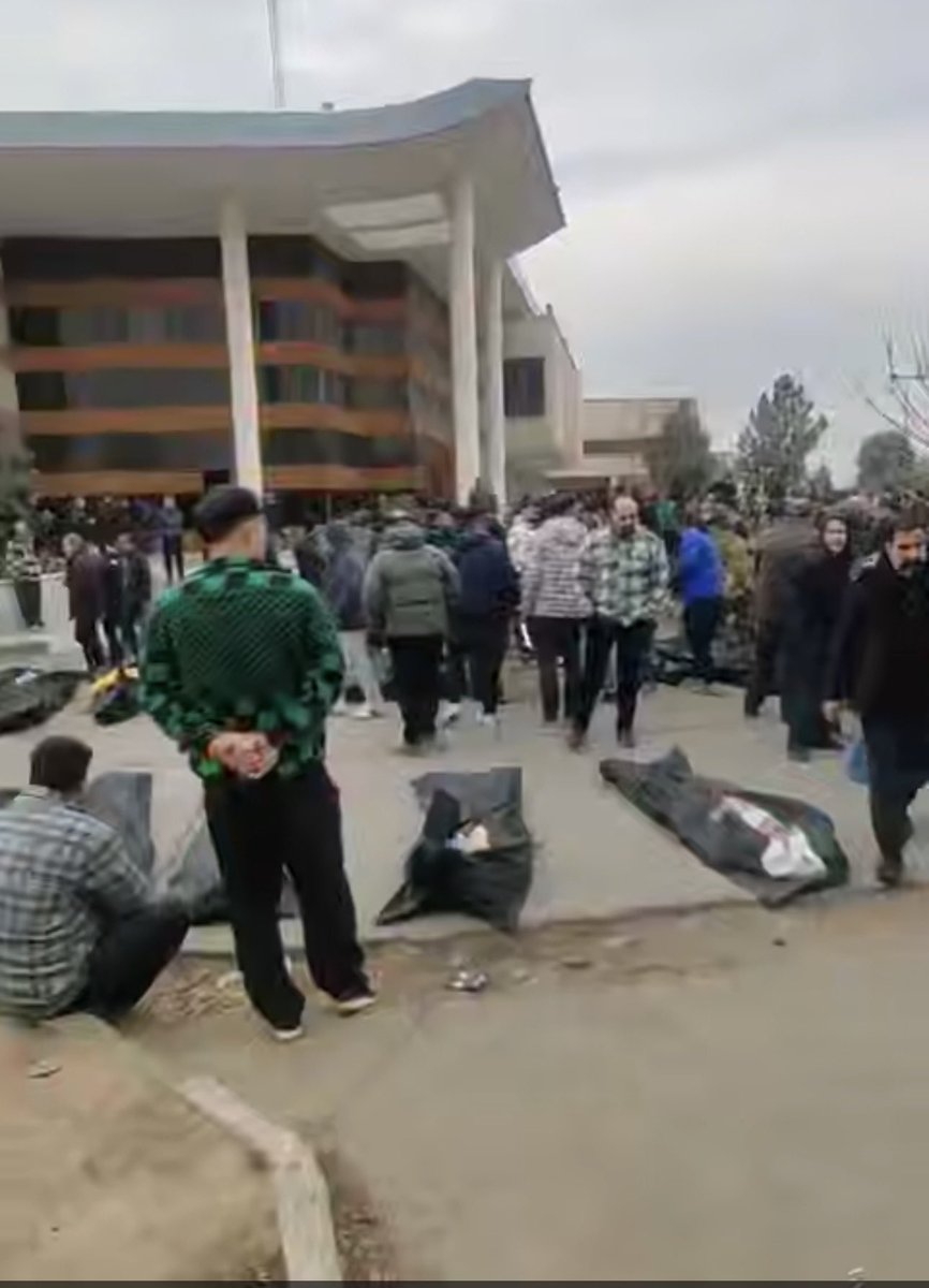 Bamdad Esmaili tweet media