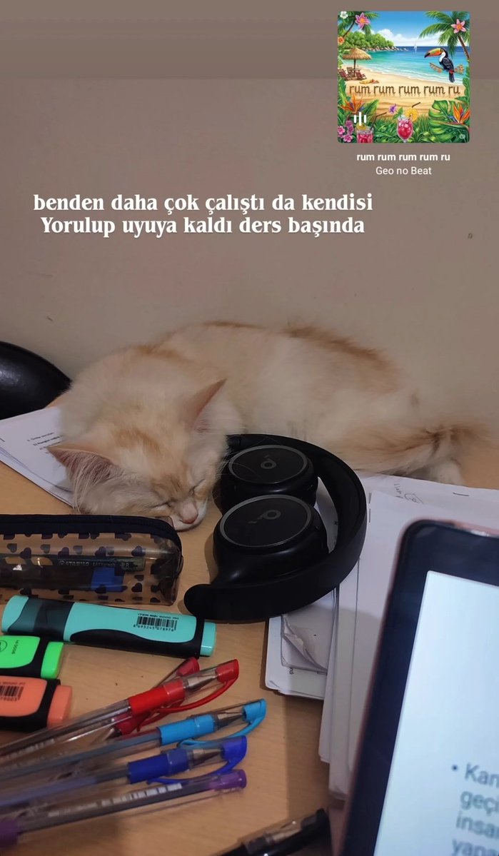 aynısını priwde atmıştım yatışa bak yaa