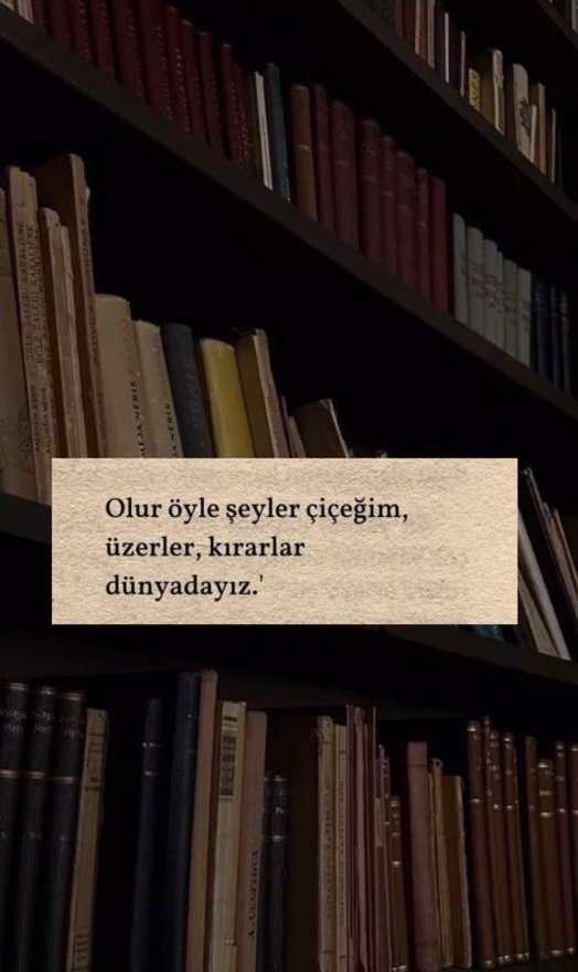 Ardıç Kuşu (@ardiskusu) on Twitter photo 