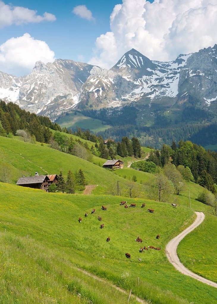 lovejad's tweet image. 今日の夕日がオレンジ色で美しかった 😮