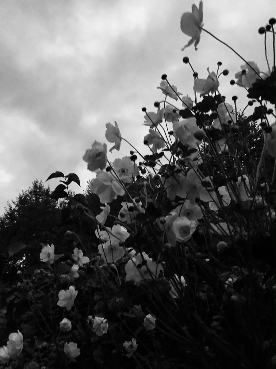 . 

I will find you
in a place
and time
known only
to the stars.
. 

🖤

My photos