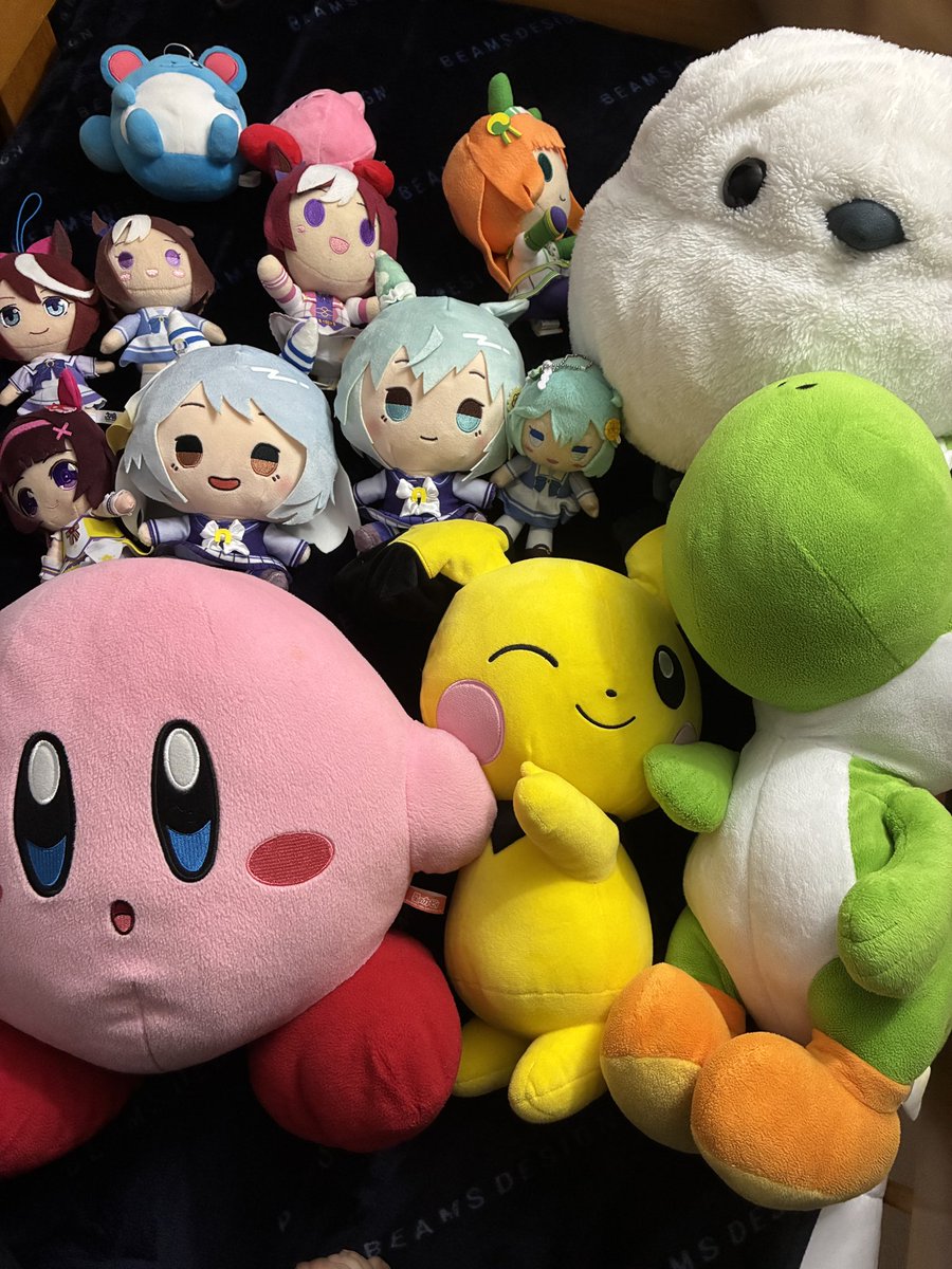 ぬいぐるみ増えすぎだって……