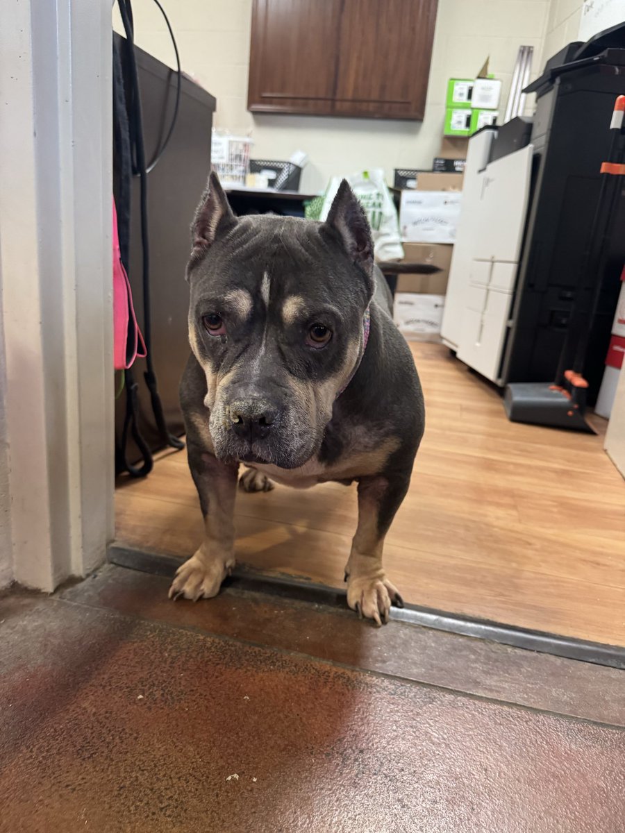 charlotte tweet media