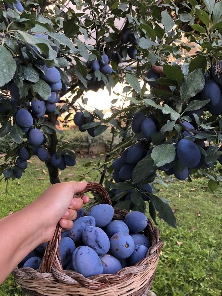 lavieestbelIe's tweet image. 